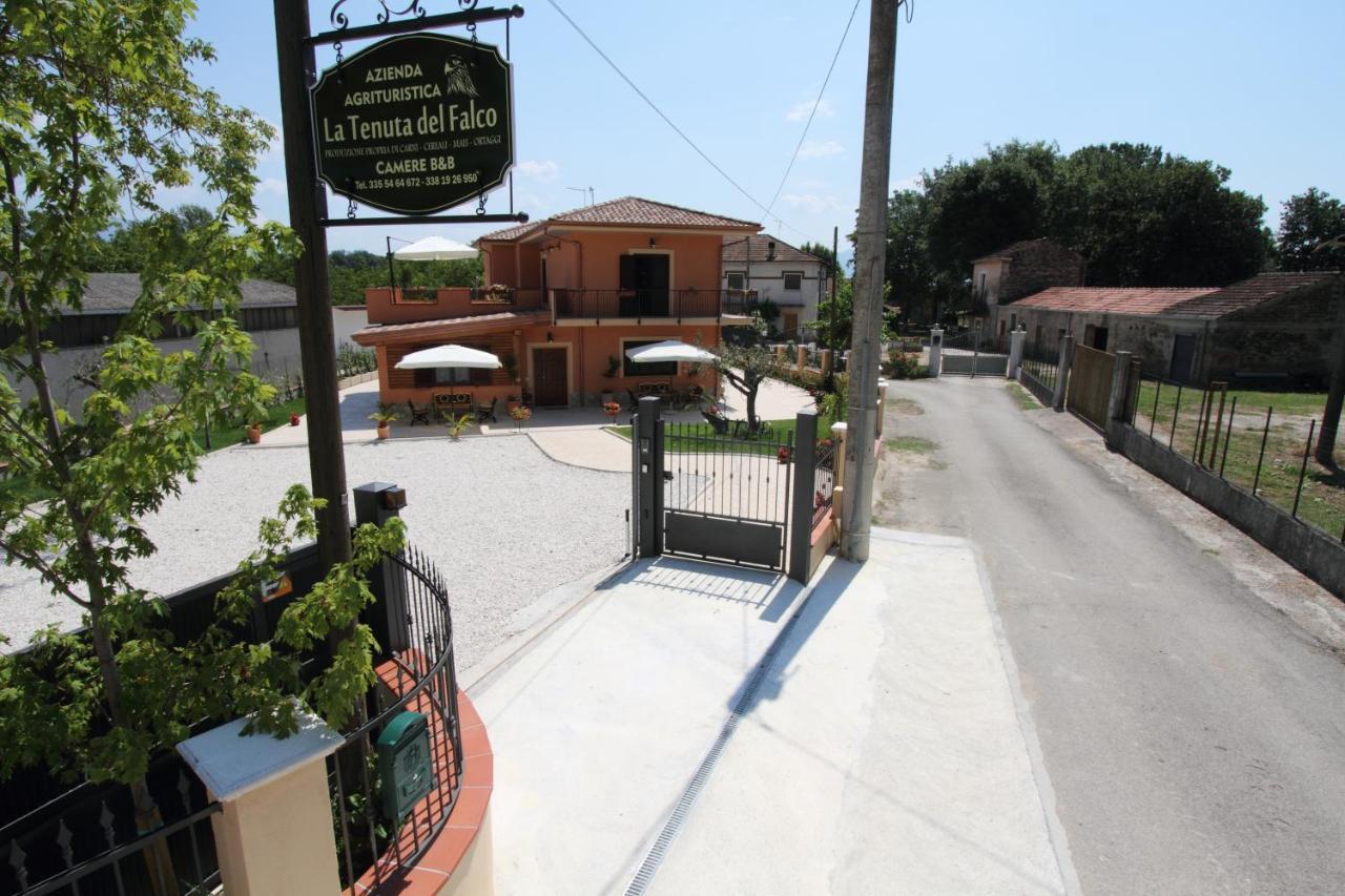 Azienda Agrituristica La Tenuta Del Falco Piedimonte San Germano Εξωτερικό φωτογραφία