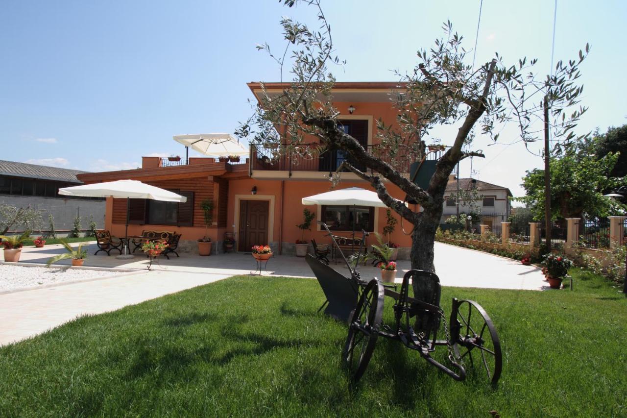 Azienda Agrituristica La Tenuta Del Falco Piedimonte San Germano Εξωτερικό φωτογραφία