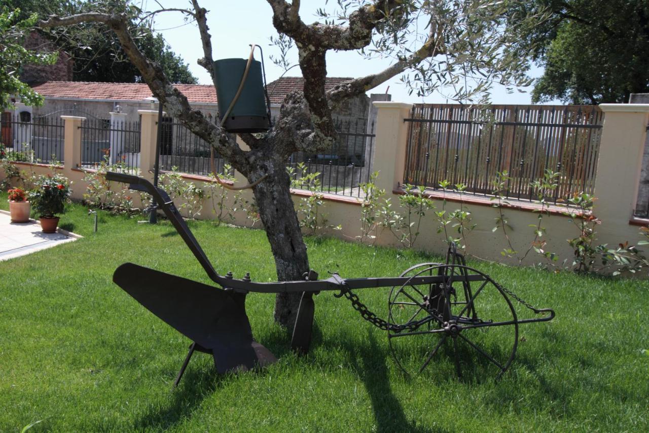 Azienda Agrituristica La Tenuta Del Falco Piedimonte San Germano Εξωτερικό φωτογραφία