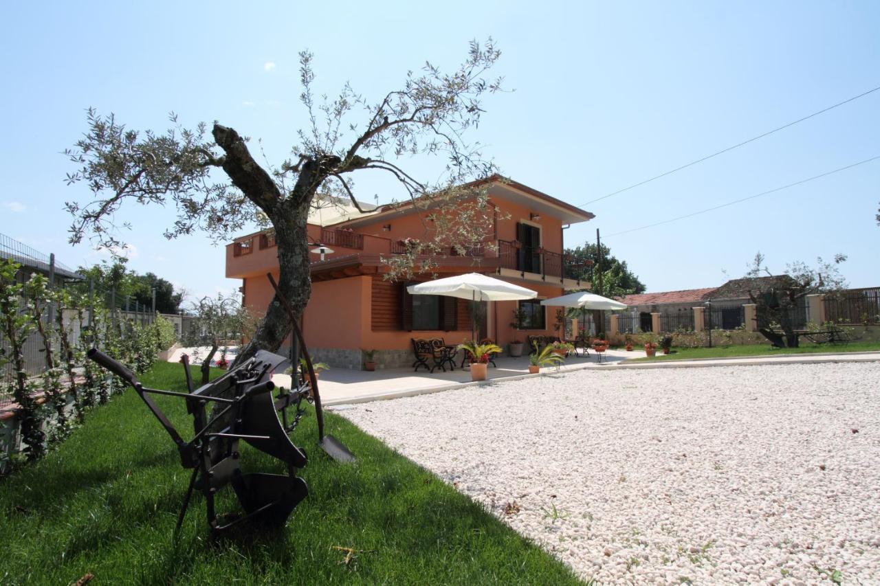 Azienda Agrituristica La Tenuta Del Falco Piedimonte San Germano Εξωτερικό φωτογραφία