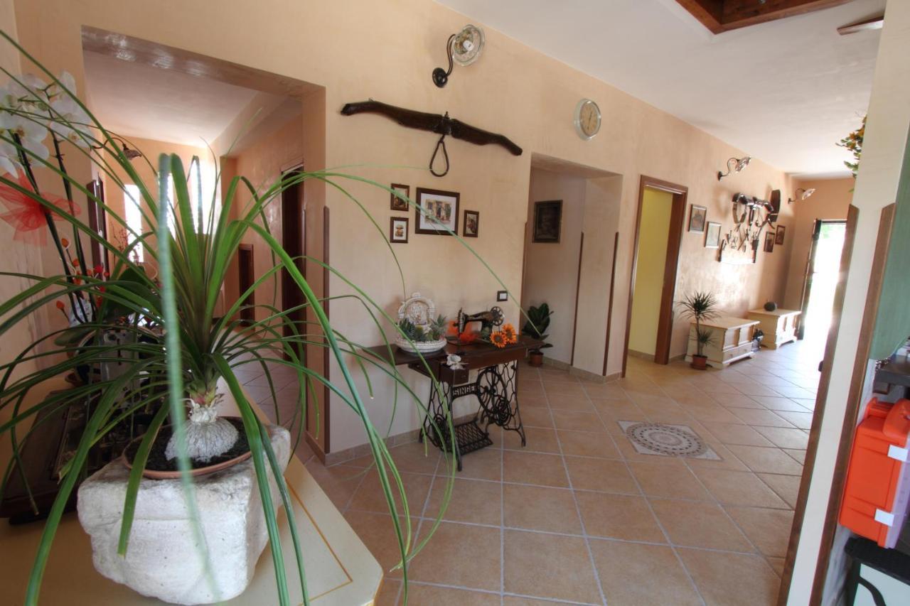 Azienda Agrituristica La Tenuta Del Falco Piedimonte San Germano Εξωτερικό φωτογραφία